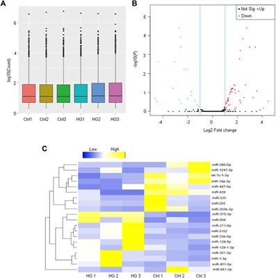 Differential MicroRNA Expression Pattern in Endothelial Progenitor Cells During Diabetic Retinopathy